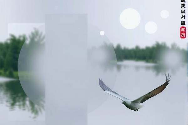 免费观看录像直播,免费观看录像直播视频